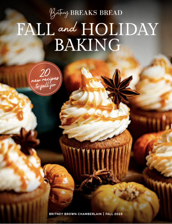 fall and holiday baking ecookbook cover